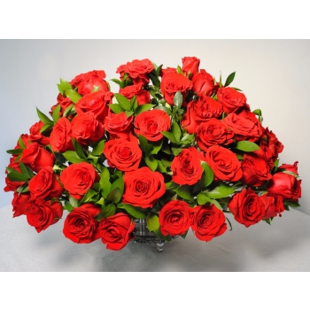 100 Rosas